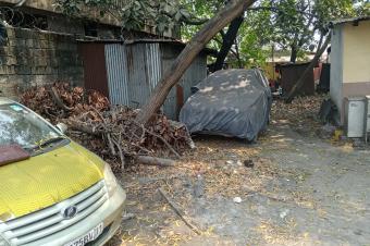 Parcelle  Barumbu 15 sur 20m 185.000